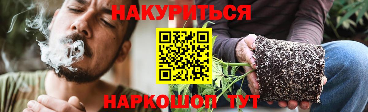 Канабис OG Kush Кировск
